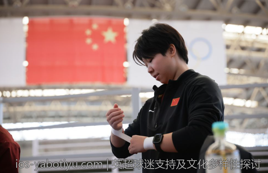 英超球迷支持及文化多样性探讨