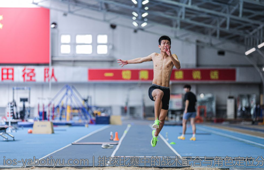 排球比赛中的战术配合与角色定位分析