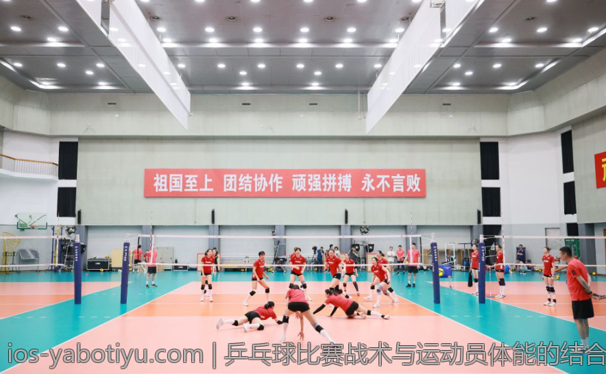 乒乓球比赛战术与运动员体能的结合