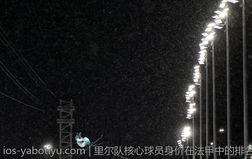 里尔队核心球员身价在法甲中的排名
